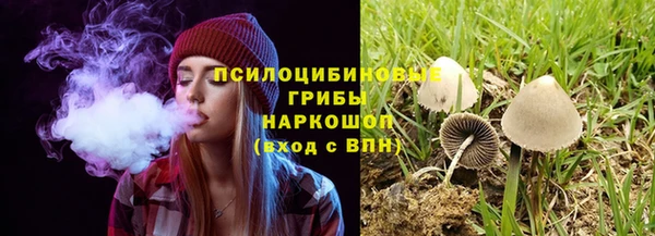 бутират Михайлов
