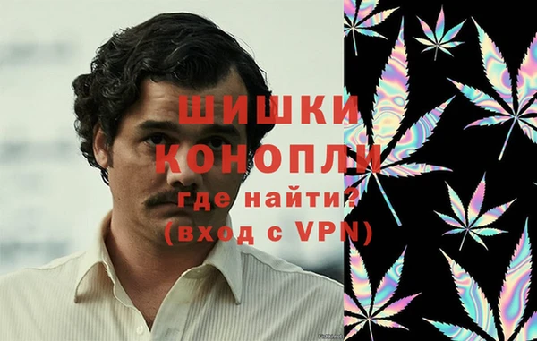 дживик Михайловск
