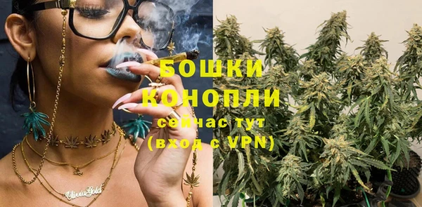 дживик Михайловск